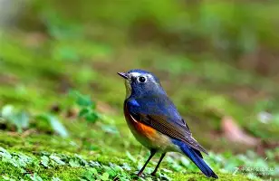 九游官方入口 -?7s6`?磬E訤?FT欷矚轃鯁暐^溵?j"D鸲胓痈G脧??Ｒ